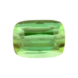 Green Tourmaline - Cushion - 11.9 x 9.2 mm - 7.19 ct
